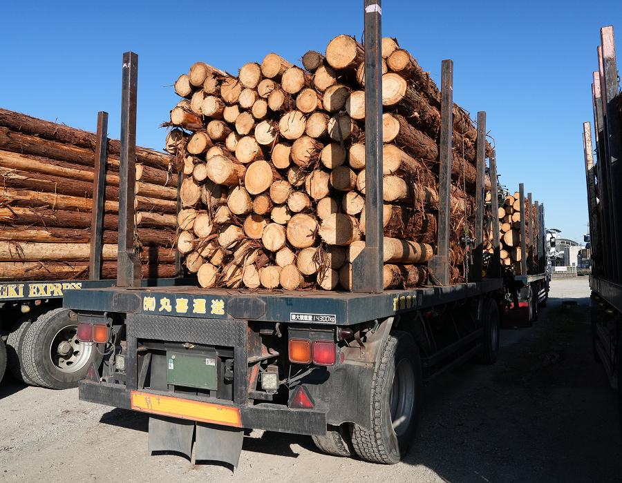 整然と丸太を積み上げた木材運搬用トラックの後方からの光景